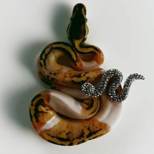 Zara Jewel Snake Brooch Anthracite Grey 4736/386